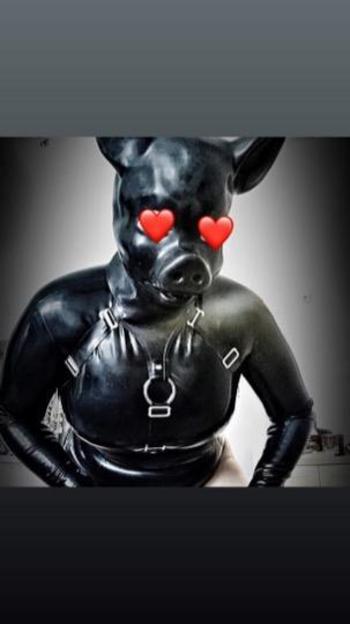 3145255088, female escort, St Louis