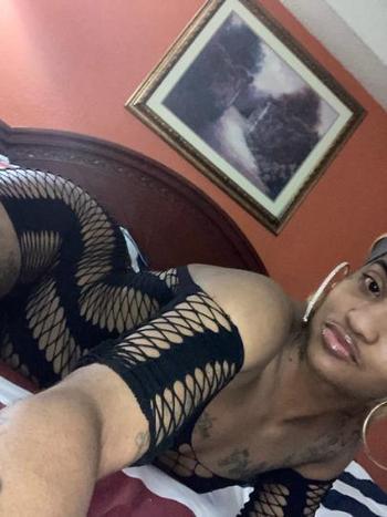 3148765166, female escort, St Louis